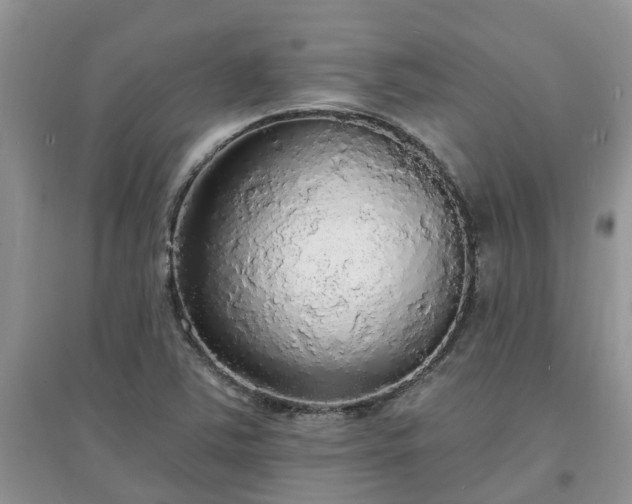 X0000097671363200803142145