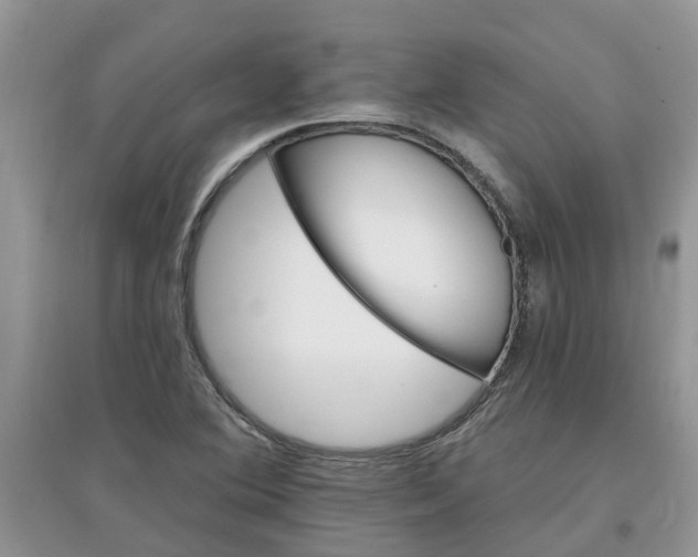 X0000097671364200803142145