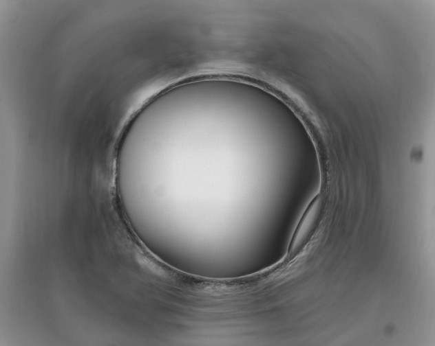 X0000097671366200803142145