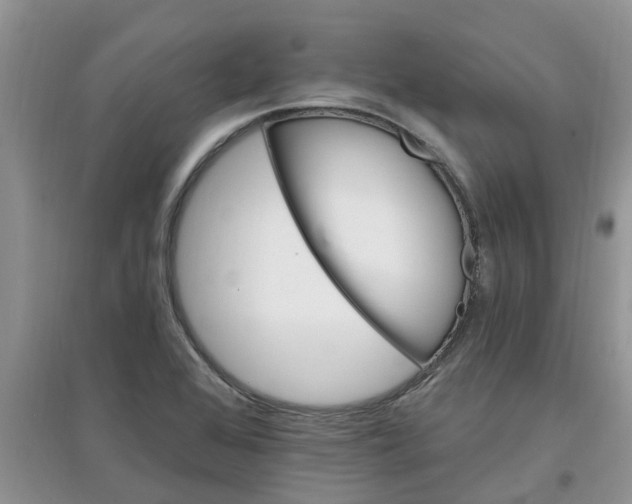 X0000097671368200803142145
