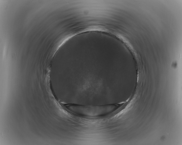 X0000097671369200803142145