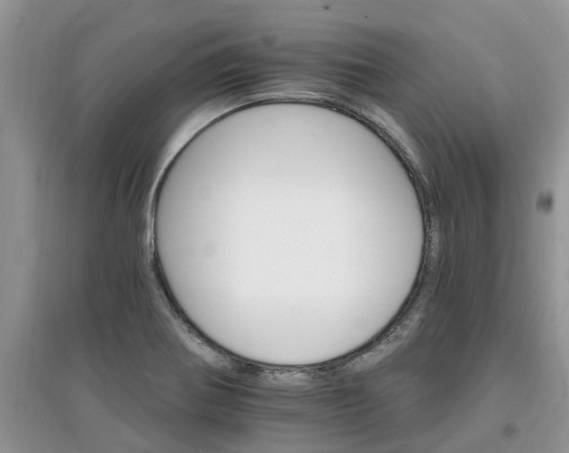 X0000097671370200803142145