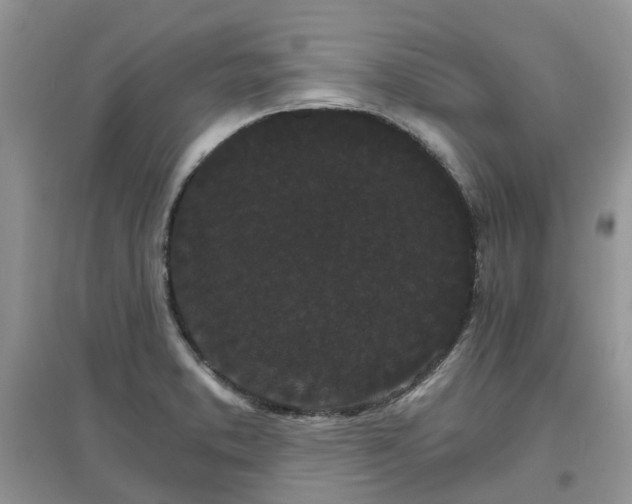 X0000097671373200803142145