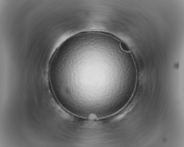 X0000097671374200803142145