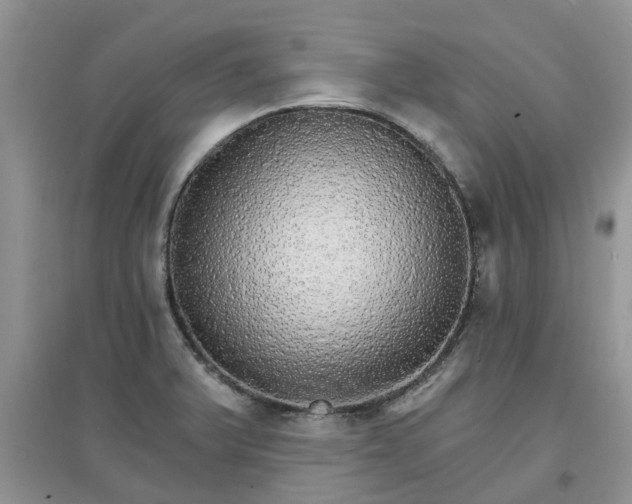X0000097671375200803142145