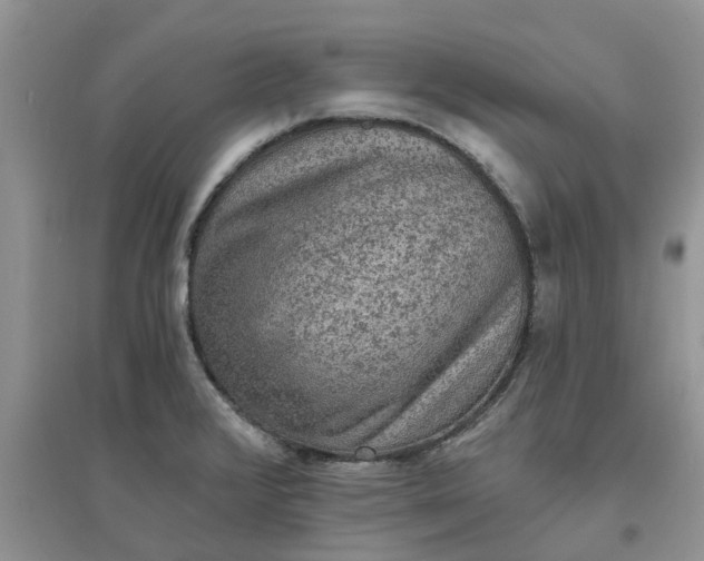 X0000097671376200803142145
