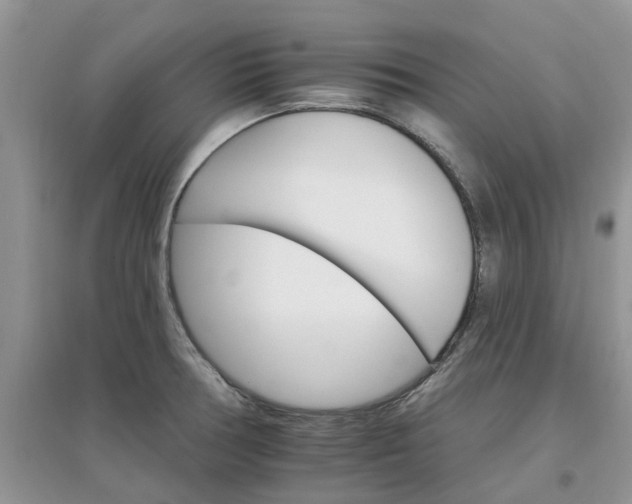 X0000097671378200803142145