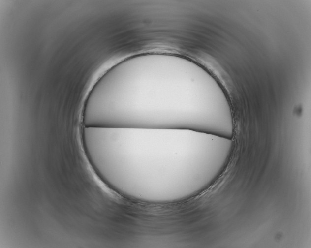 X0000097671379200803142145