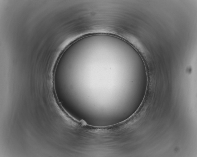 X0000097671380200803142145