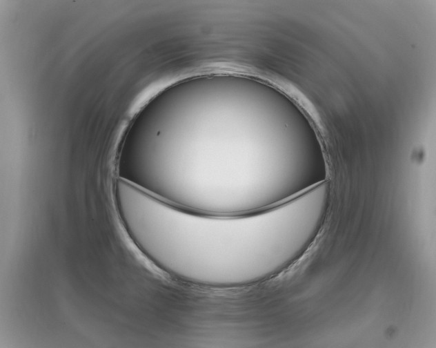 X0000097671381200803142145