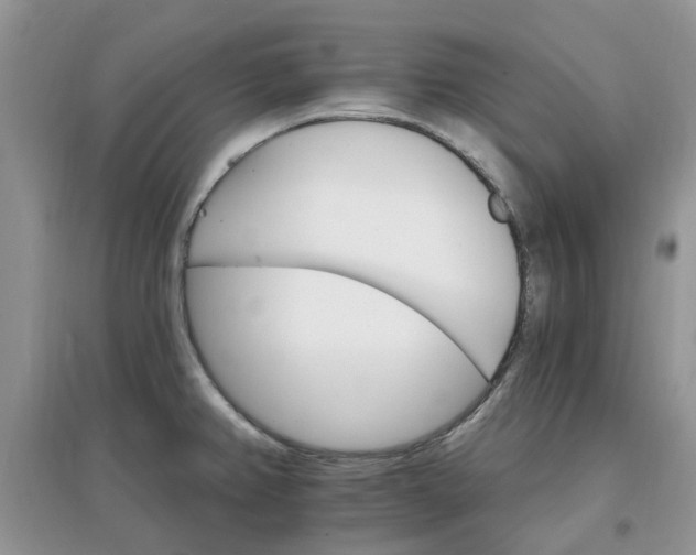 X0000097671382200803142145