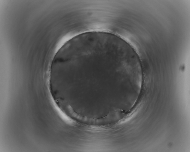 X0000097671383200803142145