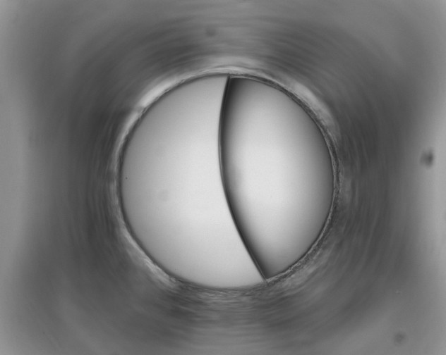 X0000097671384200803142145