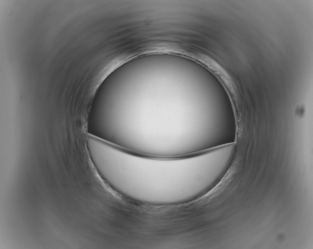 X0000097671385200803142145