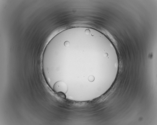 X0000097671386200803142145