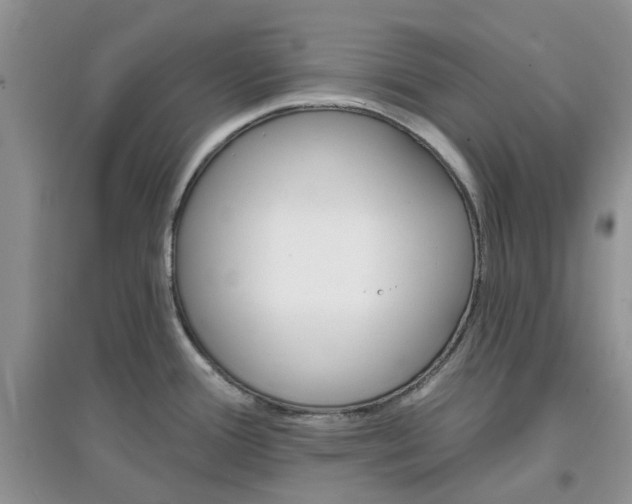 X0000097671388200803142145