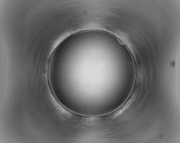 X0000097671390200803142145