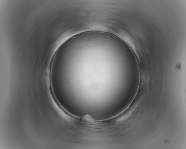 X0000097671391200803142145
