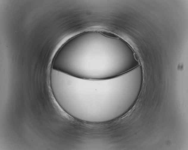 X0000097671392200803142145