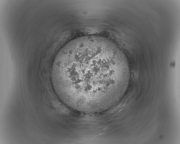 X0000097671393200803142144