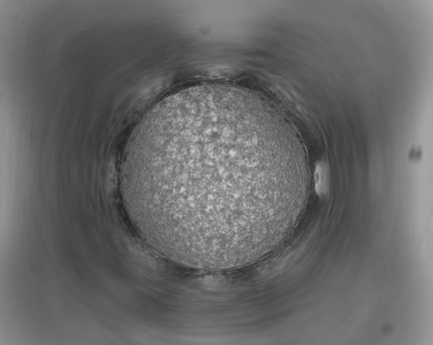 X0000097671395200803142144