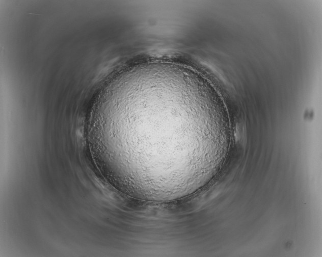 X0000097671396200803142144