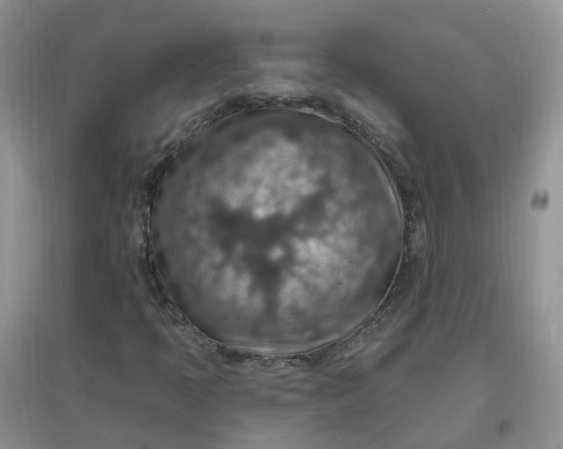 X0000097671397200803142144