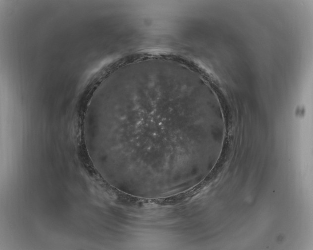 X0000097671398200803142144