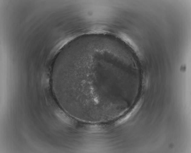 X0000097671401200803142144