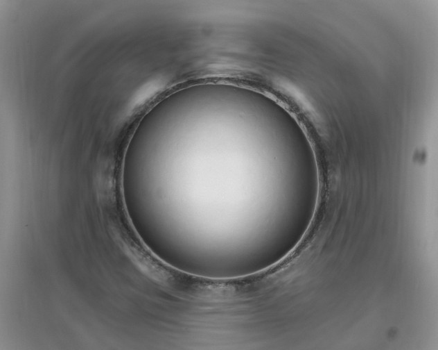 X0000097671403200803142144