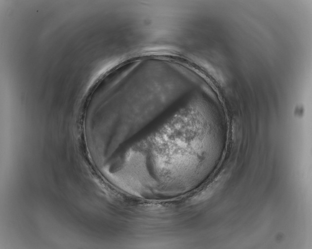 X0000097671405200803142144