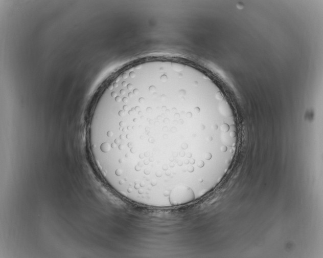 X0000097671408200803142144