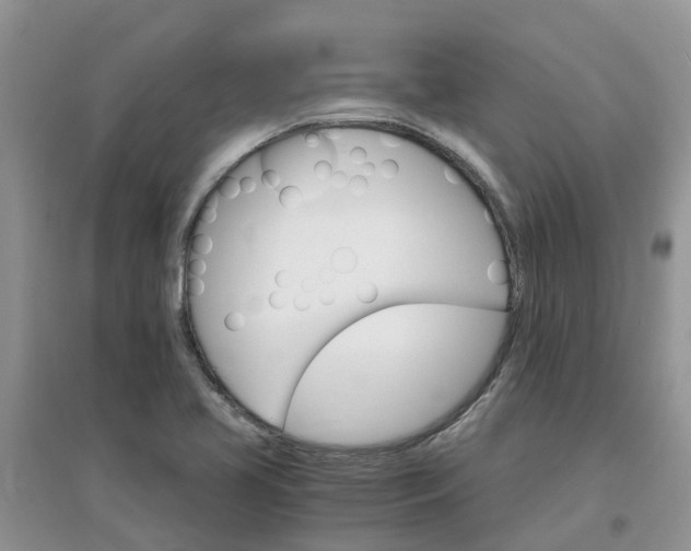 X0000097671413200803142144