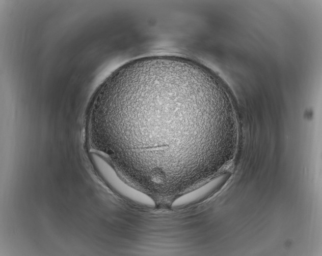 X0000097671415200803142144