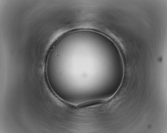 X0000097671416200803142144