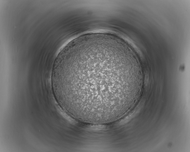X0000097671417200803142144
