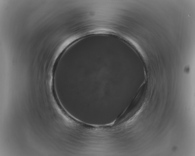 X0000097671418200803142144