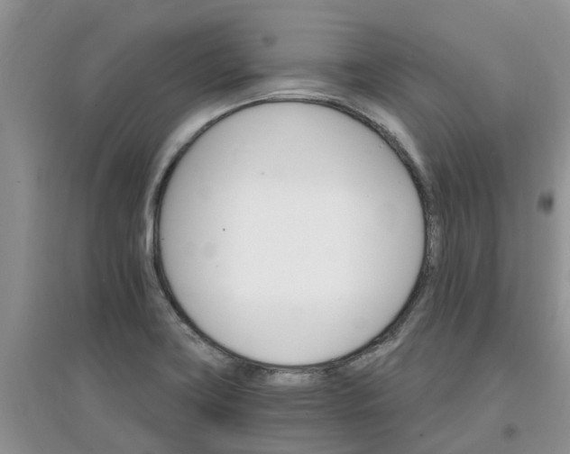 X0000097671419200803142144