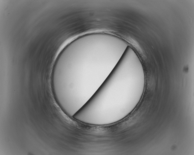 X0000097671420200803142144
