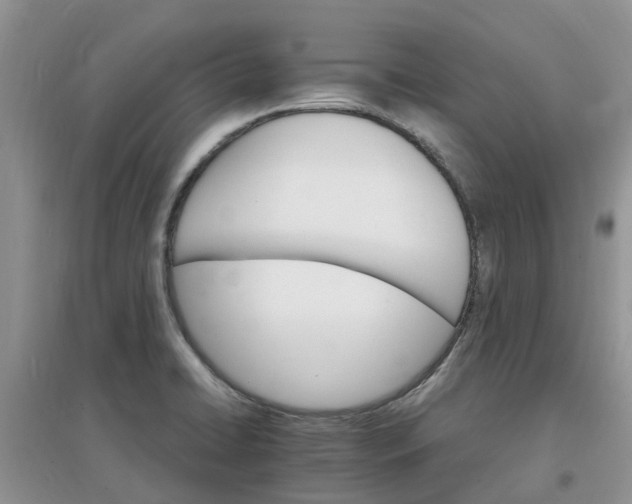 X0000097671422200803142144