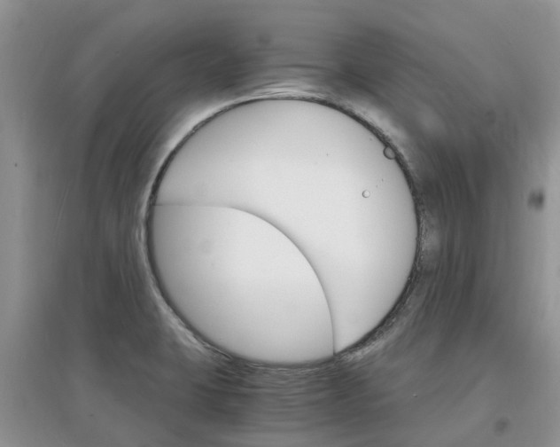 X0000097671423200803142145