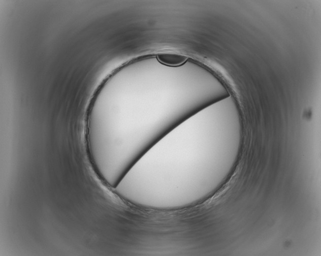 X0000097671424200803142145