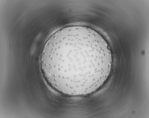 X0000097671425200803142145