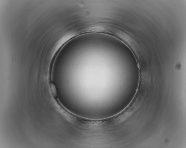 X0000097671426200803142145