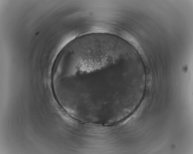 X0000097671427200803142145