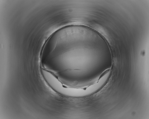 X0000097671428200803142145