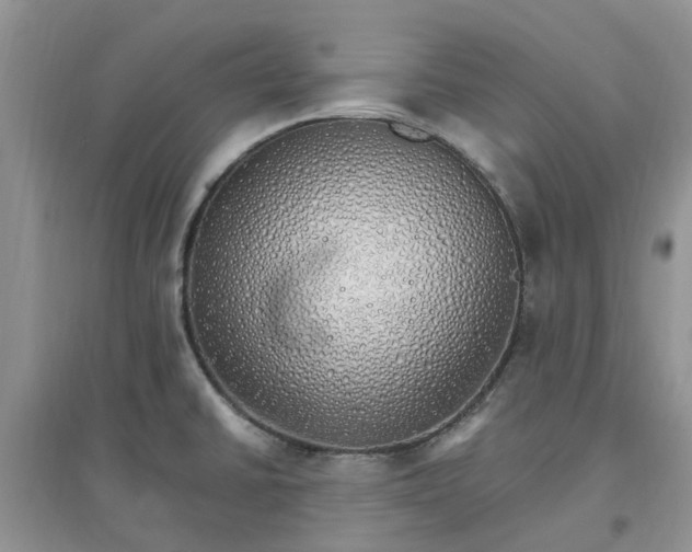 X0000097671430200803142145