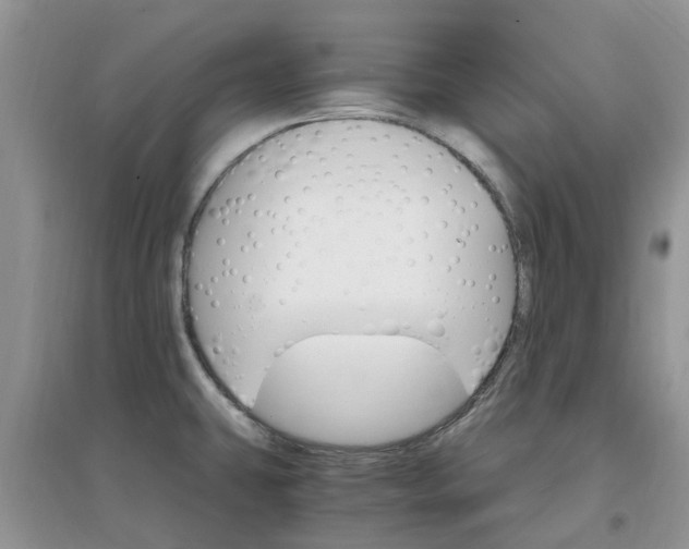 X0000097671431200803142145