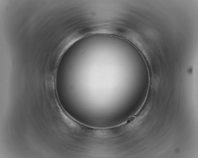 X0000097671433200803142145