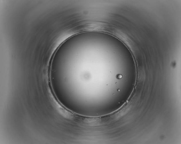 X0000097671434200803142145